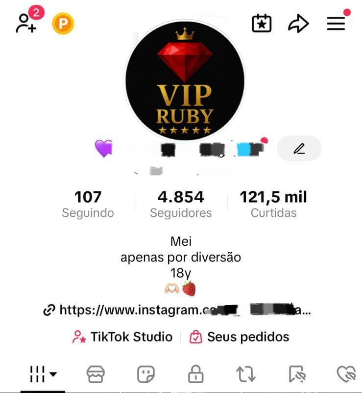 TikTok engajada